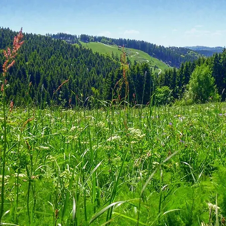 Nyaraló Ferienhauspark Hasselfelde
