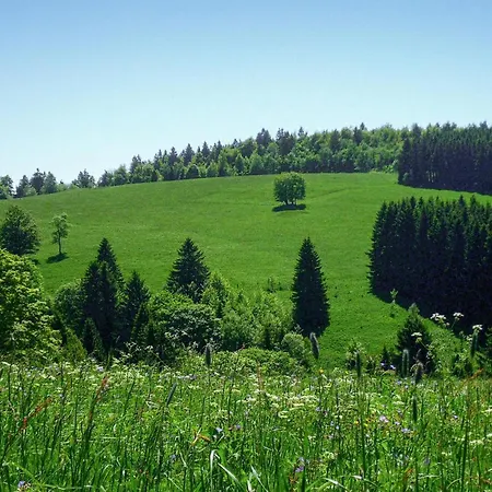 Ferienhauspark Holiday home *