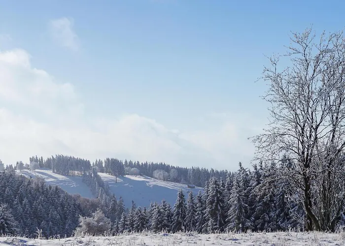 Ferienhauspark 別荘