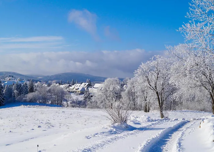 Ferienhauspark 別荘 *