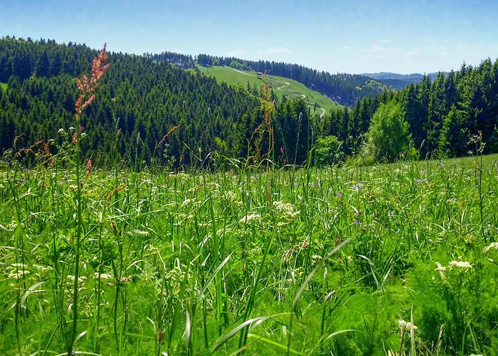 別荘 Ferienhauspark ハッセルフェルデ