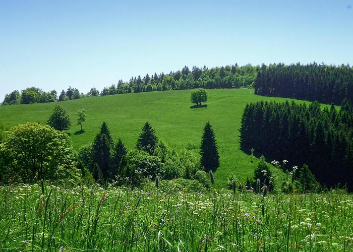 Ferienhauspark 別荘 *